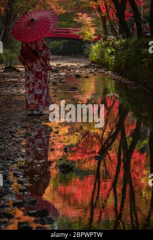 Preso nella foresta intorno al santuario di Oguni Jinja in Giappone Foto Stock