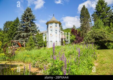 Alexander's Lodge al Mount Rainier National Park, Washington Foto Stock