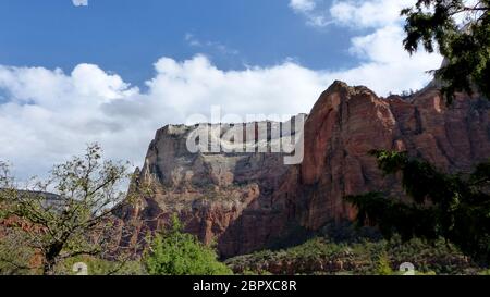Rote steile Felsgipfel, grüne Bäume und blauer Himmel mit weißen Wolken, Landschaft im Zion Nationalpark in Utah in den Vereinigten Staaten Red Steep Foto Stock