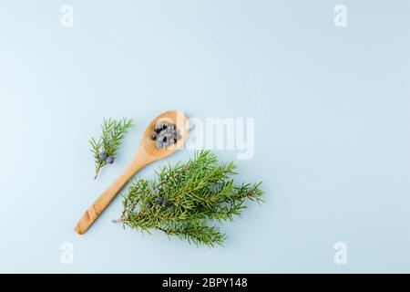 Vista dall'alto di bacche di ginepro latino Juniperus communis su cucchiaio di legno, ramo di ginepro con coni confer e bacche sparsi intorno, spazio copia. Foto Stock