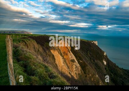 Le scogliere tra birra e Branscombe guardando verso la birra. Foto Stock