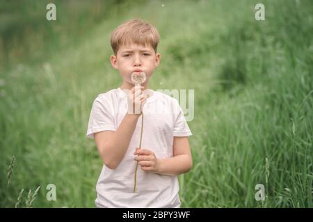 Ritratto di un bel ragazzo con il tarassaco. Foto Stock