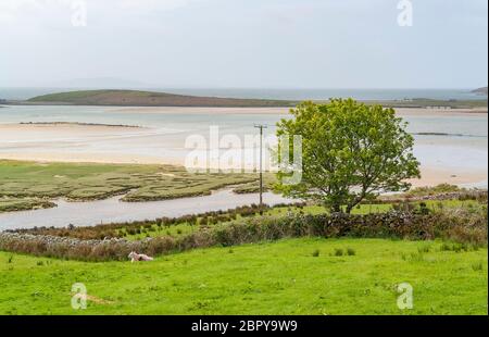 Paesaggio costiero a Connemara, una regione in irlanda Foto Stock