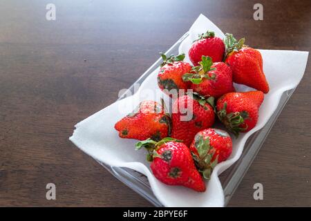 Muffa grigia su fragole rosse mature Foto Stock