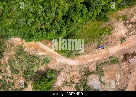 Vista dall'alto della deforestazione e del disboscamento in una foresta tropicale. La deforestazione contribuisce in modo considerevole alla perdita di habitat e all'identificazione dell'ambiente artificiale Foto Stock