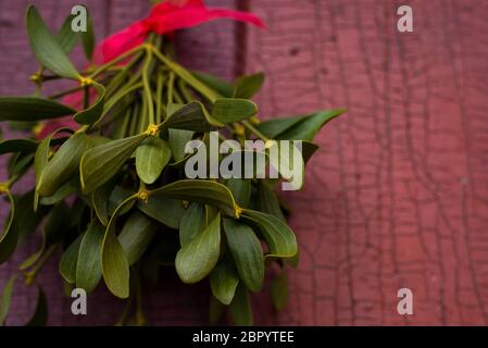 Natale sfondo festivo con mistletoe verde appeso sul vecchio sfondo della porta fessurata con spazio vuoto per il testo. Foto Stock