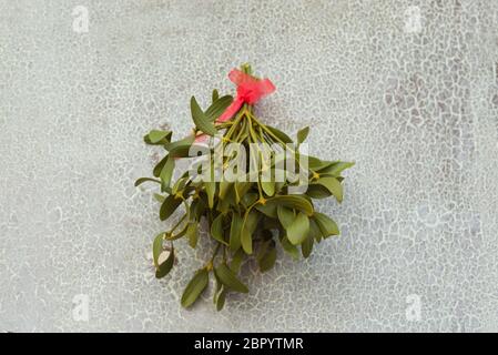 Natale sfondo festivo con mistletoe verde appeso sul vecchio sfondo della porta fessurata. Idee di arredamento per le vacanze. Foto Stock