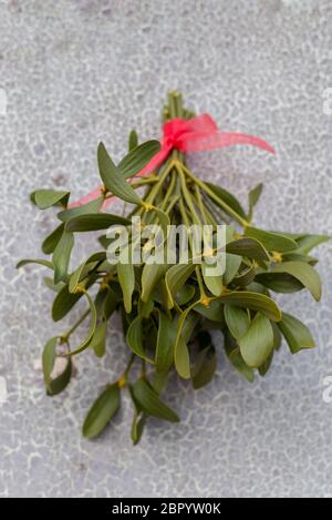 Natale sfondo festivo con mistletoe verde appeso sul vecchio sfondo della porta fessurata. Idee di arredamento per le vacanze. Foto Stock