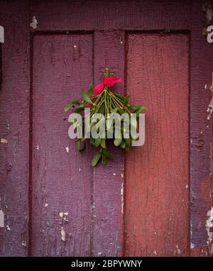 Natale sfondo festivo con mistletoe verde appeso sul vecchio sfondo della porta fessurata. Idee di arredamento per le vacanze. Foto Stock