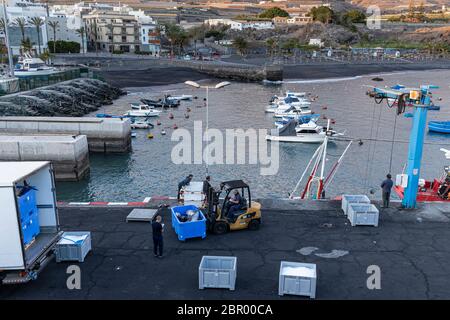 Scaricare il tonno giallo dalla barca con una gru in scatole da portare al mercato presso la banchina di Playa San Juan, Tenerife, Isole Canarie, SPAI Foto Stock