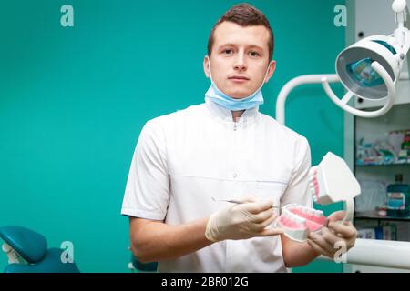 Ritratto di un medico dentista che tiene in mano mascella modello per simulare spazzolatura corretta Foto Stock