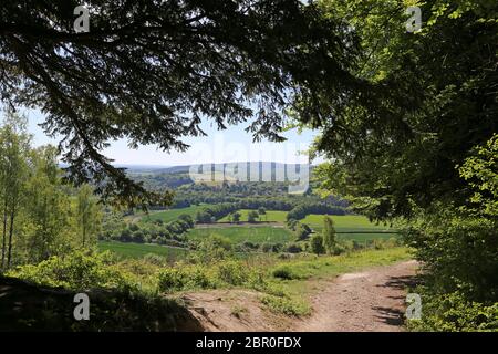 Vista a sud da White Downs, Pilgrim's Way (North Downs Way), Surrey Hills AONB, North Downs, Dorking, Inghilterra, Gran Bretagna, Regno Unito, Europa Foto Stock