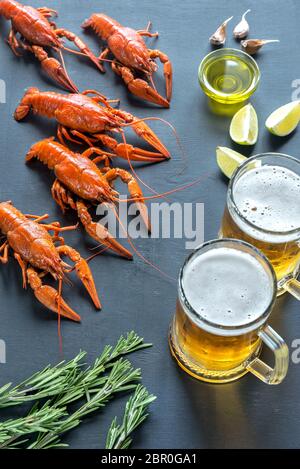 Gamberi bolliti con due boccali di birra Foto Stock