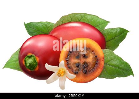 Tamarillo (Solanum betaceum) frutti con foglie Foto Stock