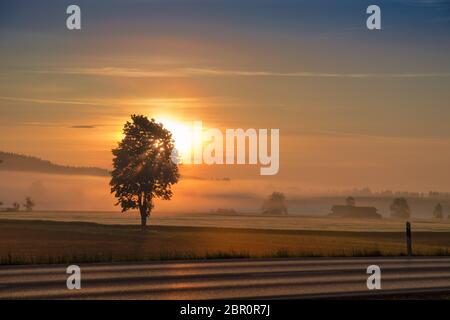 Mattina sole nascente in aumento e raggi solari su campo nebuloso e country road Foto Stock