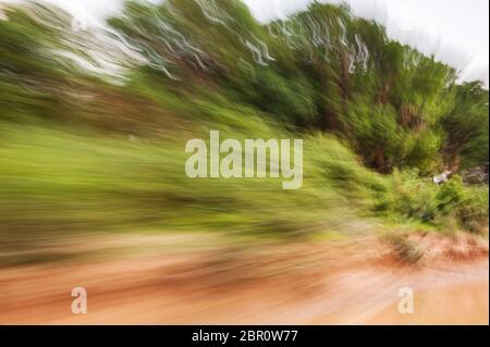 Scorrendo tra gli alberi sulla riva del fiume. Kampong Phluk, Provincia di Siem Reap, Cambogia centro-settentrionale, Sud-est asiatico Foto Stock