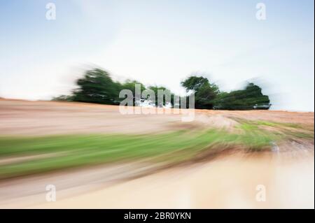 Scorrendo tra gli alberi sulla riva del fiume. Kampong Phluk, Provincia di Siem Reap, Cambogia centro-settentrionale, Sud-est asiatico Foto Stock