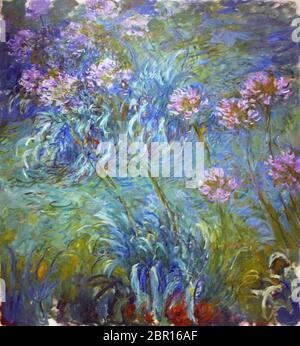 L'Agapanthus di Claude Monet 1926. Museo di Arte moderna a New York Foto Stock