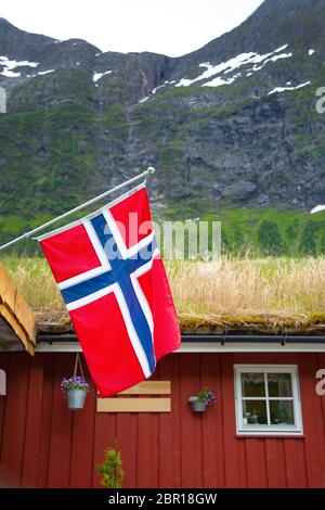 Bandiera della Norvegia contro lo sfondo della nazionale norvegese casa di colore rosso sul tetto di erba che cresce. Bandiera della Norvegia, simbolo nazionale Foto Stock