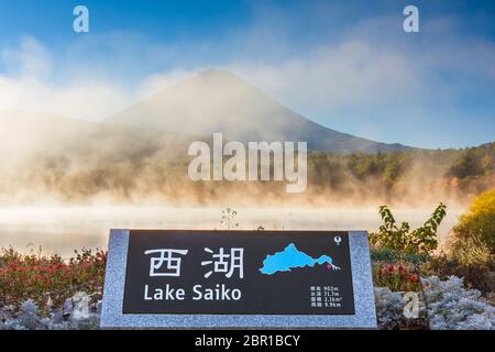 Lago Saiko, Giappone sulla riva con Mt. Fuji in una nebbiosa mattina. Foto Stock