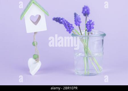 Blüten in der Vase, Frühling. Foto Stock