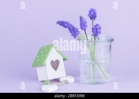 Blüten in der Vase, Frühling. Foto Stock