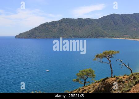Landsacpe con pini sul pendio di montagna sullo sfondo del mare. Baia di Adrasan, Mar Mediterraneo in Turchia Foto Stock