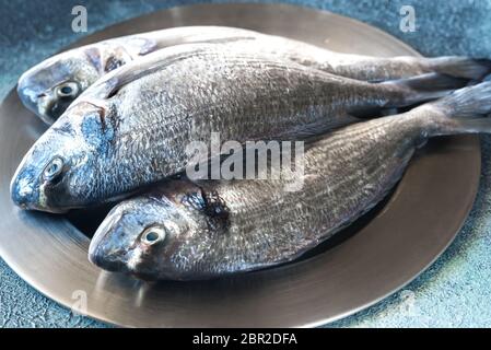 Orate di mare (dorada) pesce Foto Stock