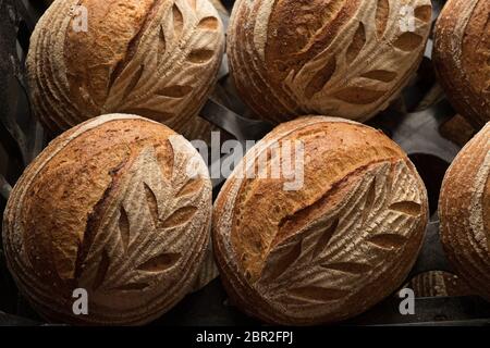 Focacce di pasta di origine fatte da Johnny Spillings al suo Penny Bun Bakehouse a Lowestoft, Suffolk Foto Stock