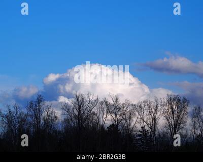 Cieli blu chiaro primaverili Foto Stock