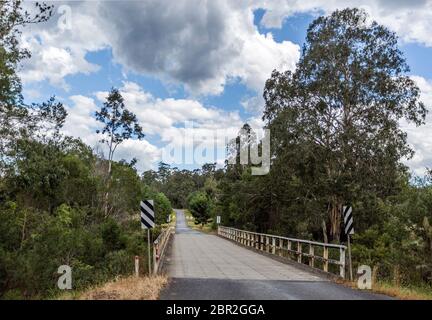 Paese alta foresta in Gran Catena Divisoria, Australia più sostanziale gamma di montagna che si estende per oltre 3.500 km dal Queensland a Victoria Foto Stock