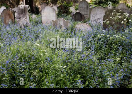 Lapide nel Cimitero di Brompton, Old Brompton Road, Londra, Regno Unito; uno dei magnifici sette cimiteri londinesi Foto Stock