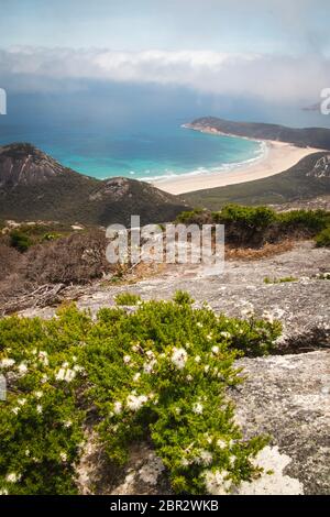 Wilsons Promontory Park, Australia Top delle escursioni a Monte Oberon Foto Stock