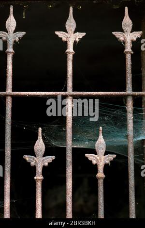 Porta con rusty barre di metallo e ragnatela di antiche tombe in necropoli vecchia Foto Stock