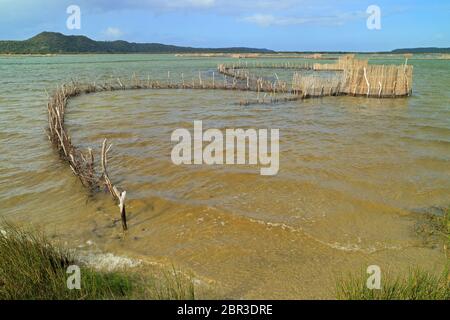 Tradizionale pesce Tsonga trappole costruite nel Kosi bay estuary, Tongaland, Sud Africa Foto Stock