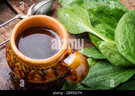 Deliziosi tè alle erbe.omeopatici fatti in casa da tè piantaggine Foto Stock