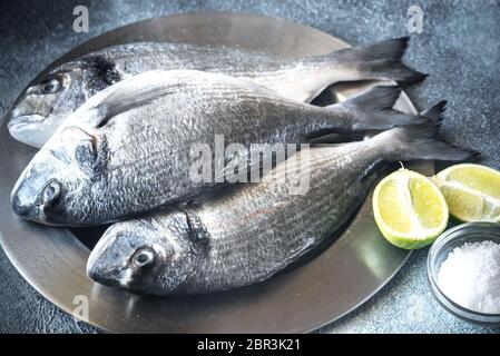 Orate di mare (dorada) pesce Foto Stock