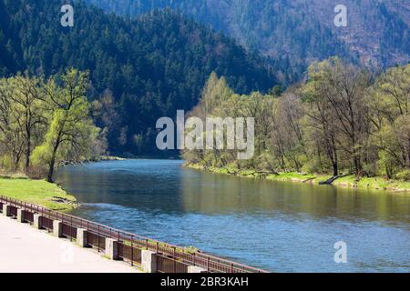 Dunajec River Gorge, pista ciclabile sulle rive del fiume, Szczawnica, Polonia Foto Stock