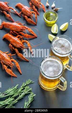 Gamberi bolliti con due boccali di birra Foto Stock