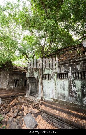 Beng Mealea, il Tempio della giungla. Angkor, Patrimonio dell'Umanità dell'UNESCO, provincia di Siem Reap, Cambogia, Sud-est asiatico Foto Stock