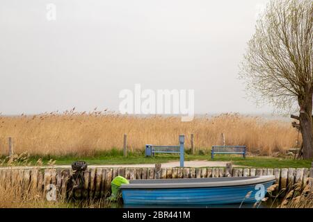 Una piccola barca blu nel piccolo porto di Zempin sull'isola di Usedom Foto Stock