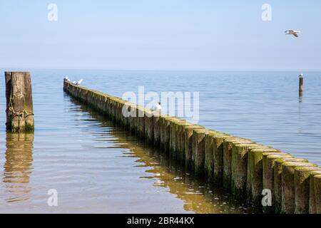 Groynes nel Mar Baltico con piccole onde nella località balneare di Zempin sull'isola di Usedom Foto Stock