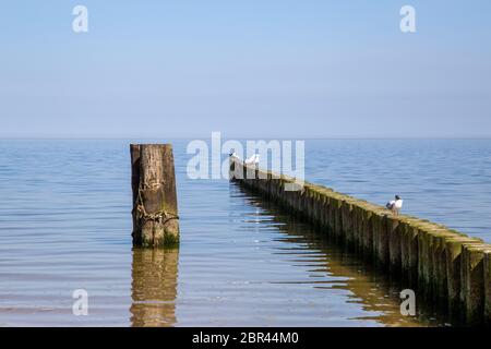 Groynes nel Mar Baltico con piccole onde nella località balneare di Zempin sull'isola di Usedom Foto Stock