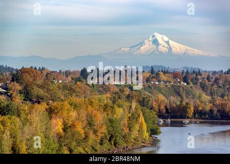 Mt. Il cofano sollevandosi al di sopra di Portland, Oregon su un bellissimo giorno di caduta Foto Stock