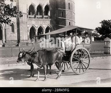Carrozza trainata da buoi, gharry o gharrie, India Foto Stock