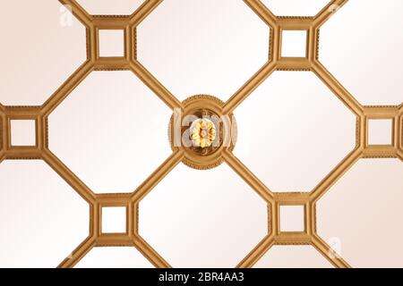 Opzionale per pannelli da soffitto e stucchi con ornamenti e ornamenti. Foto Stock