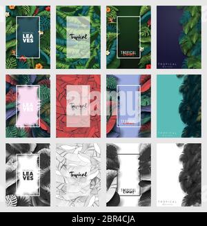 Set di foglie tropicali estate sfondo con piante giungla Illustrazione Vettoriale