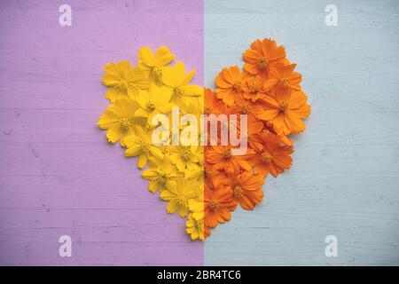 Forma di cuore tagliato a metà e i diversi colori su sfondo di legno. Foto Stock