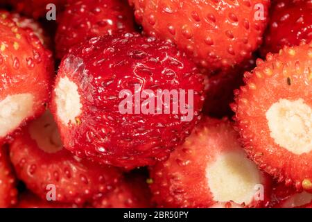 Il frutto della Fragaria vesca, comunemente chiamata fragola selvatica o fragola boscosa Foto Stock