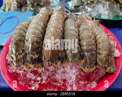 Un piatto di gamberetti di mantis su ghiaccio sul mercato Foto Stock